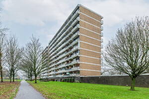 Seringenplantsoen 479 RIDDERKERK Seringenplantsoen 479 RIDDERKERK